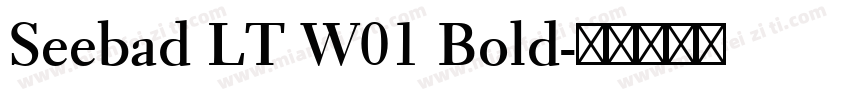 Seebad LT W01 Bold字体转换